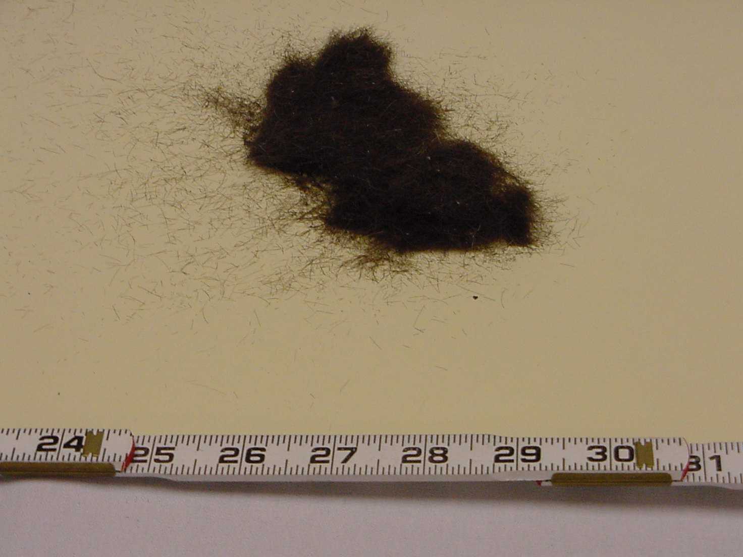 hair.jpg